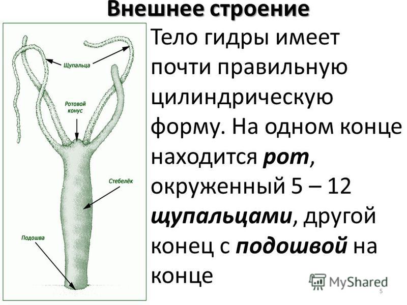 Дарк площадка кракен